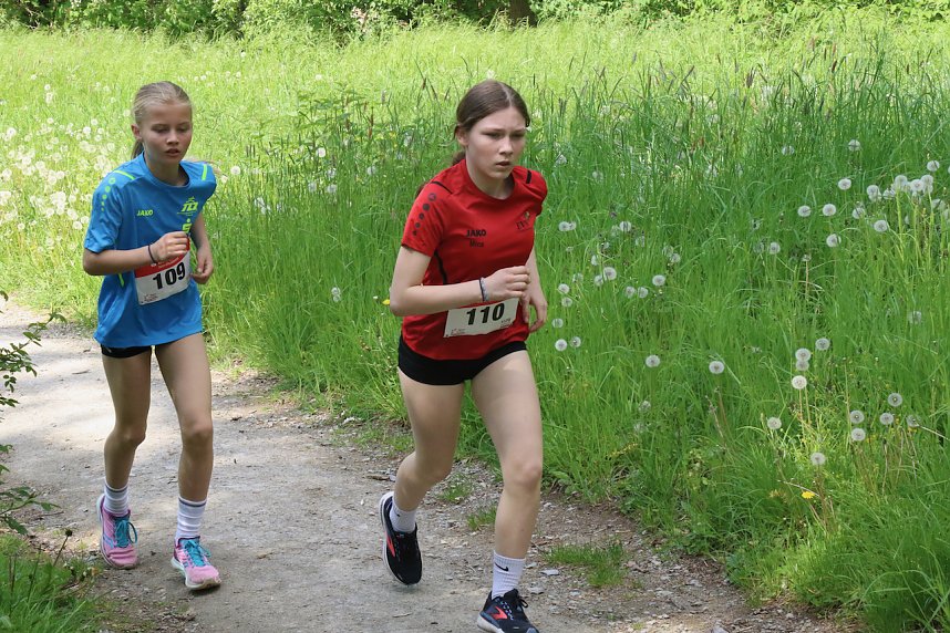 6. Heinrich-Siesmayer Ged&auml;chtnislauf im Park Hohenrode