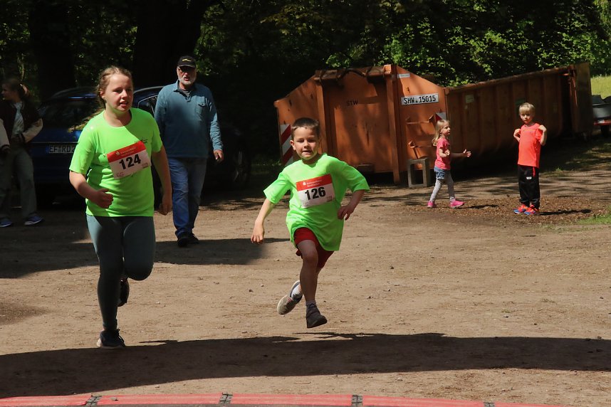 6. Heinrich-Siesmayer Ged&auml;chtnislauf im Park Hohenrode
