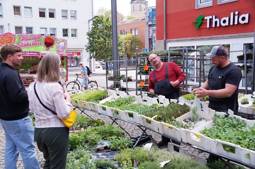 Geranienmarkt auf dem Rathausplatz