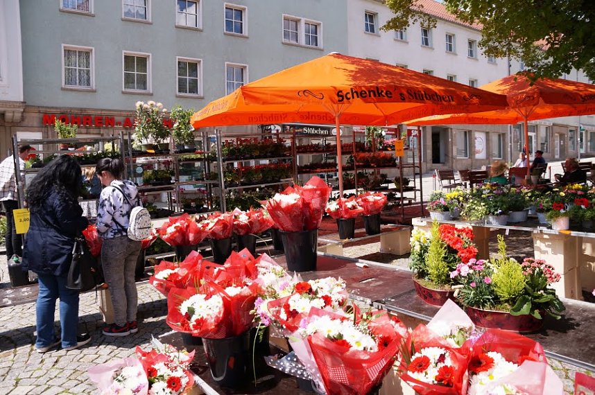 Geranienmarkt auf dem Rathausplatz
