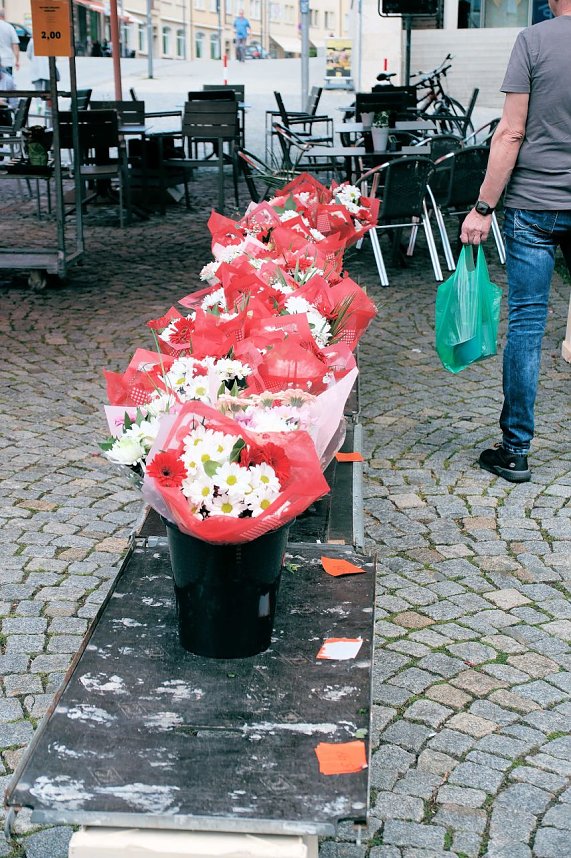 Geranienmarkt am Rathaus