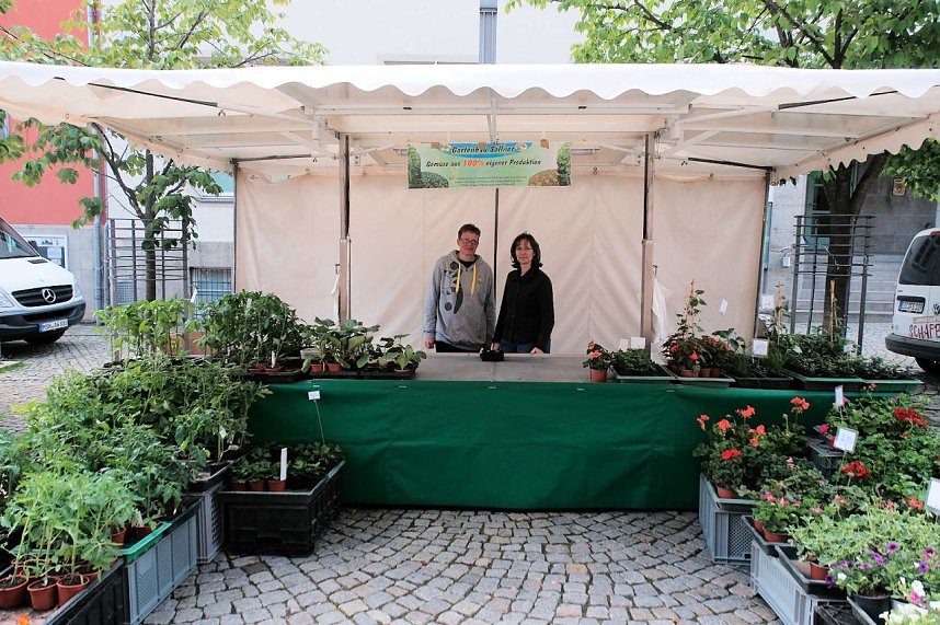 Geranienmarkt am Rathaus