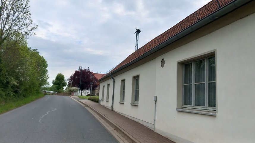 Beobachtung einer Seltenheit