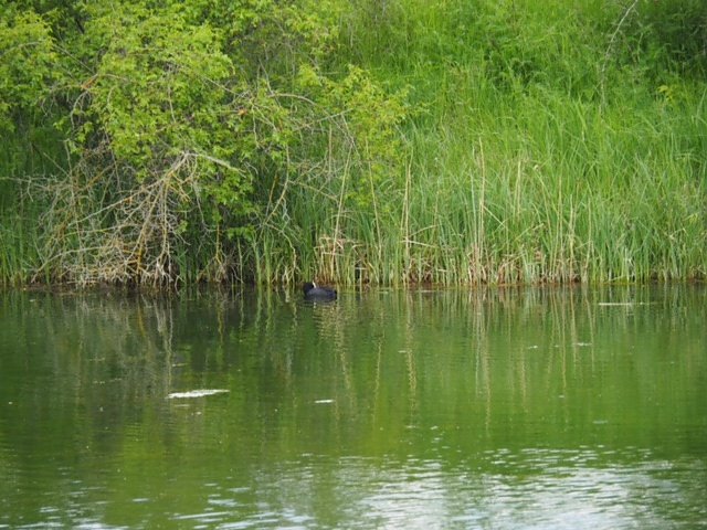 Mit der Kamera unterwegs zur Numburg