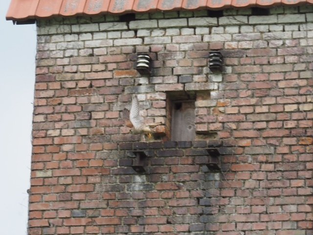 Mit der Kamera unterwegs zur Numburg