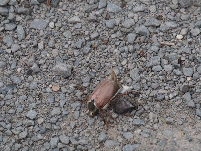 Mit der Kamera unterwegs zur Numburg