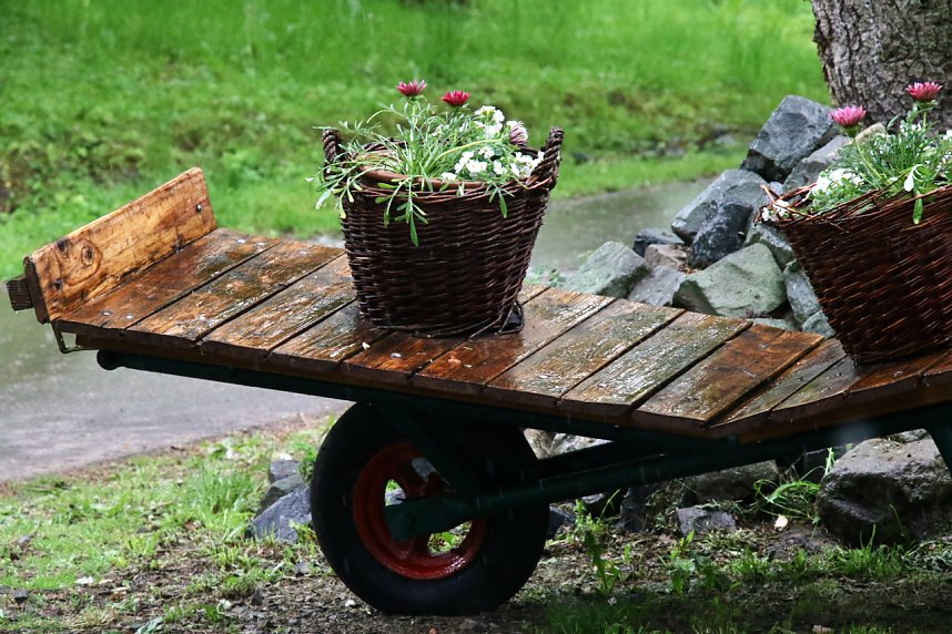 Parkfest im Park Hohenrode