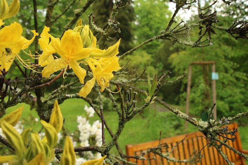 Parkfest im Park Hohenrode