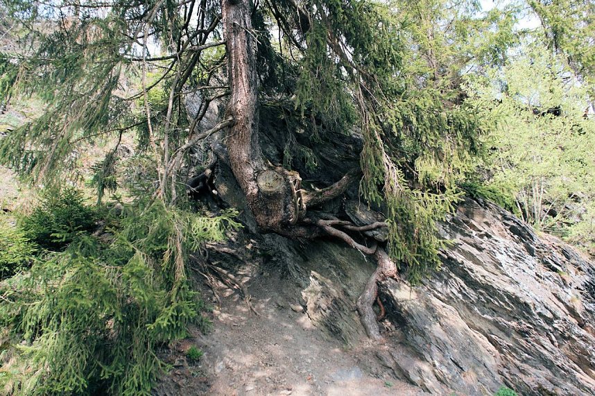 Peter Blei unterwegs in Susenburg