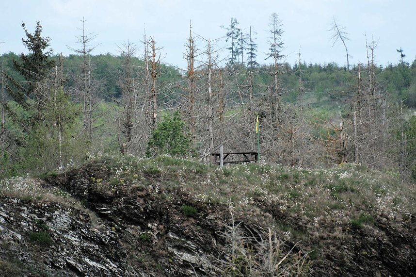 Peter Blei unterwegs in Susenburg
