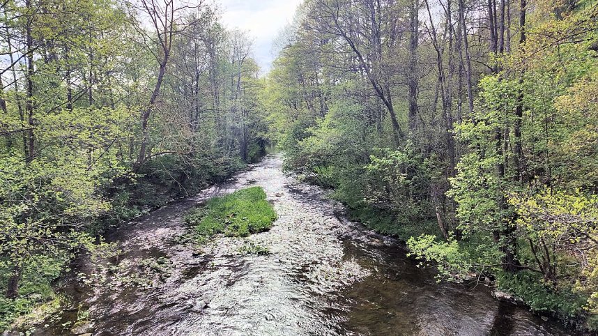 Peter Blei unterwegs in Susenburg