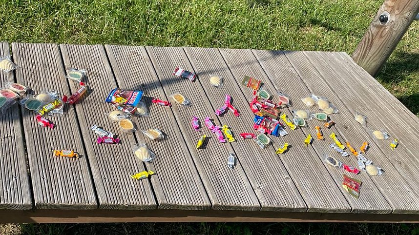 Gelungener Kindertag an der Petersdorfer Grundschule