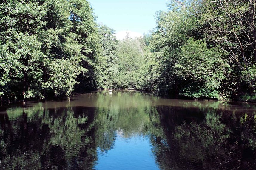 Die Wunder der Natur eingefangen von der Kamera