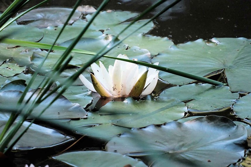 Die Wunder der Natur eingefangen von der Kamera