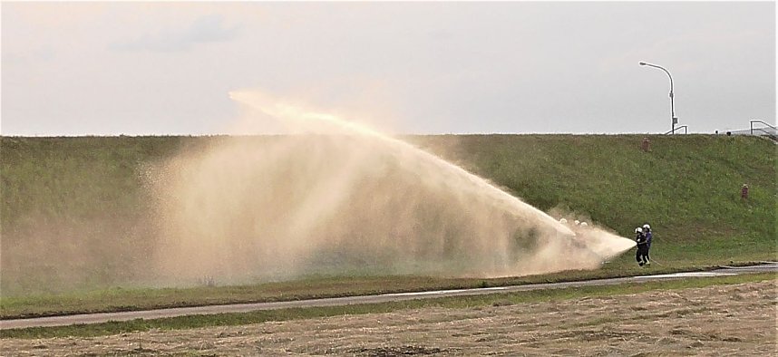 Schnappsch&uuml;sse aus der Goldenen Aue