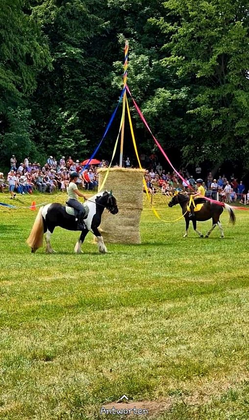 Ponyschau in W&uuml;lfingerode