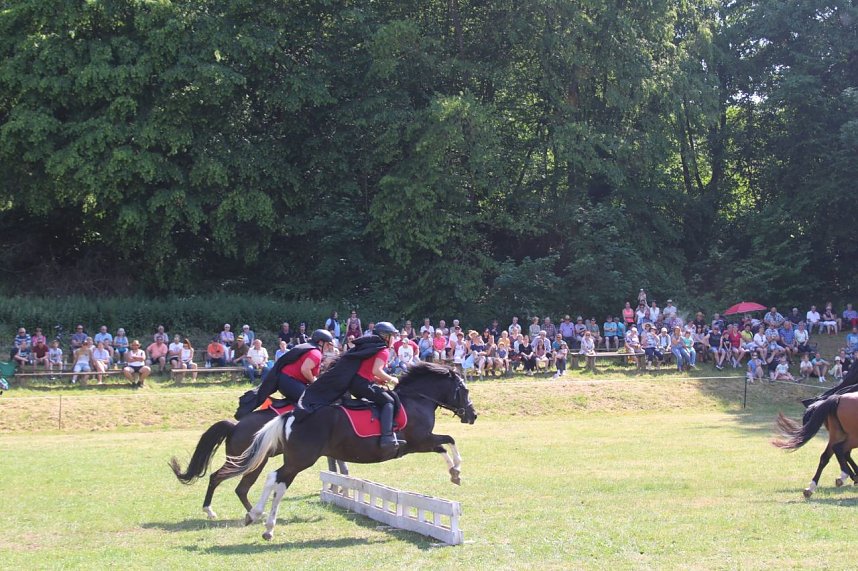 Ponyschau in W&uuml;lfingerode