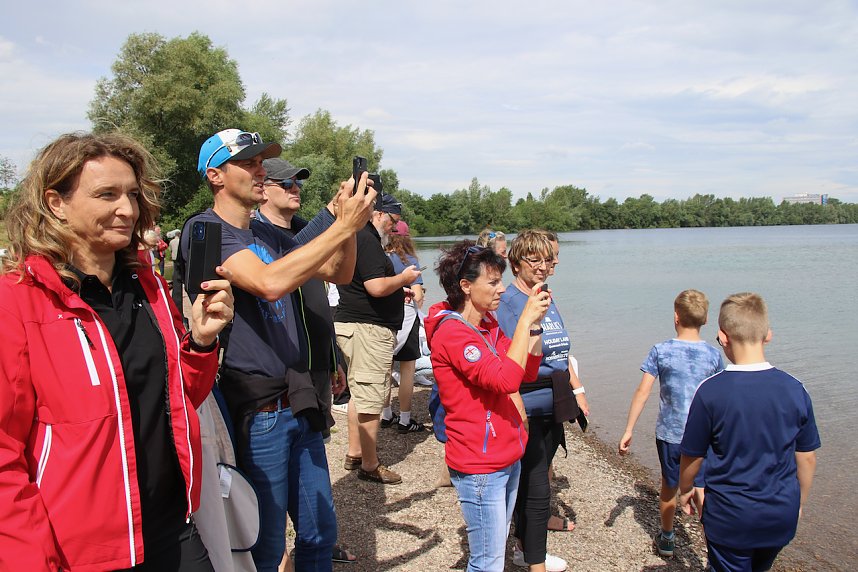 Grand Slam auf dem Wasser: beim EVN Sup Cup traf sich heute wieder die Elite der Stehpaddler auf dem Sundh&auml;user See