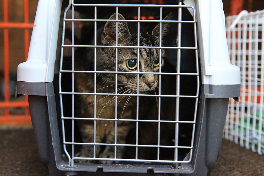 Fotos vom Feuer in Salza