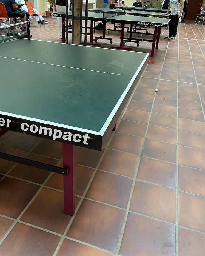 Bewegungstage an der Petersbergschule