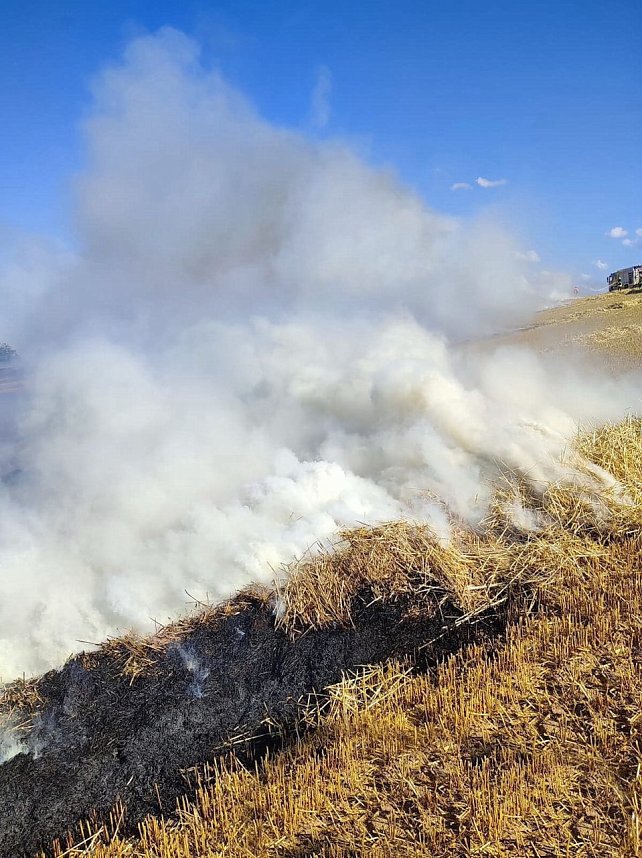 Feldbrand bei Klettenberg