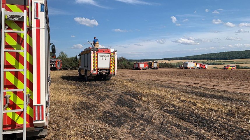 Feuer in der Goldenen Aue