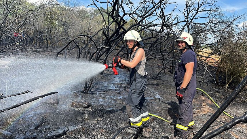 Feuer in der Goldenen Aue