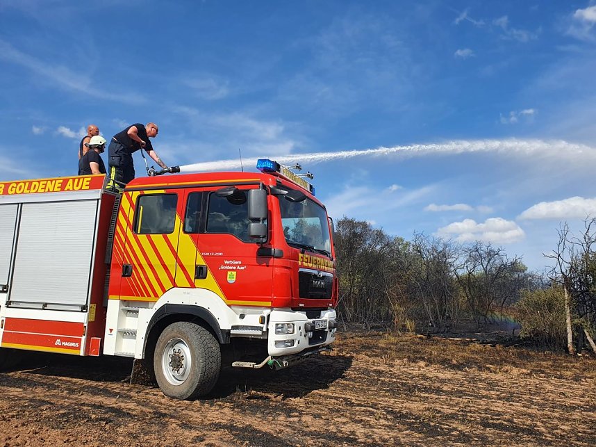 Feuer in der Goldenen Aue