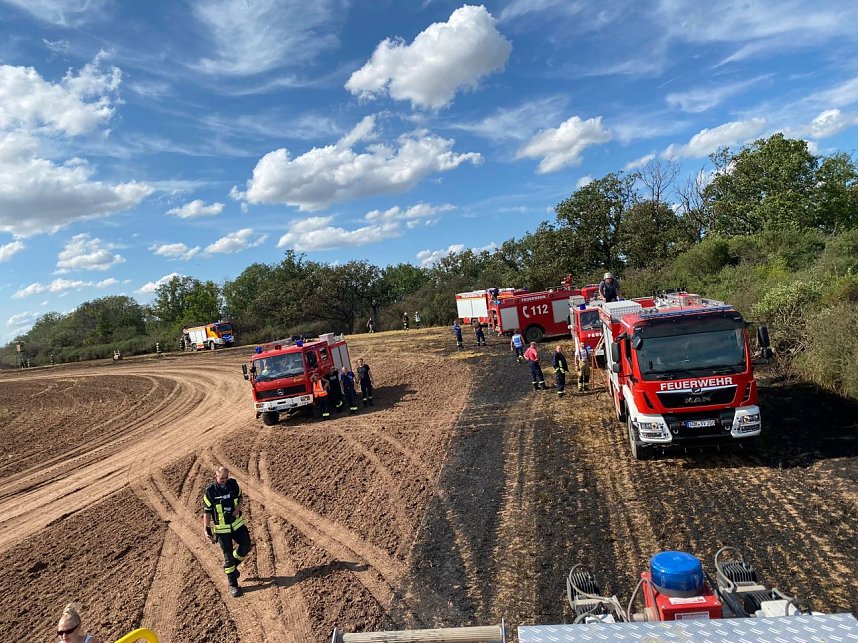 Feuer in der Goldenen Aue