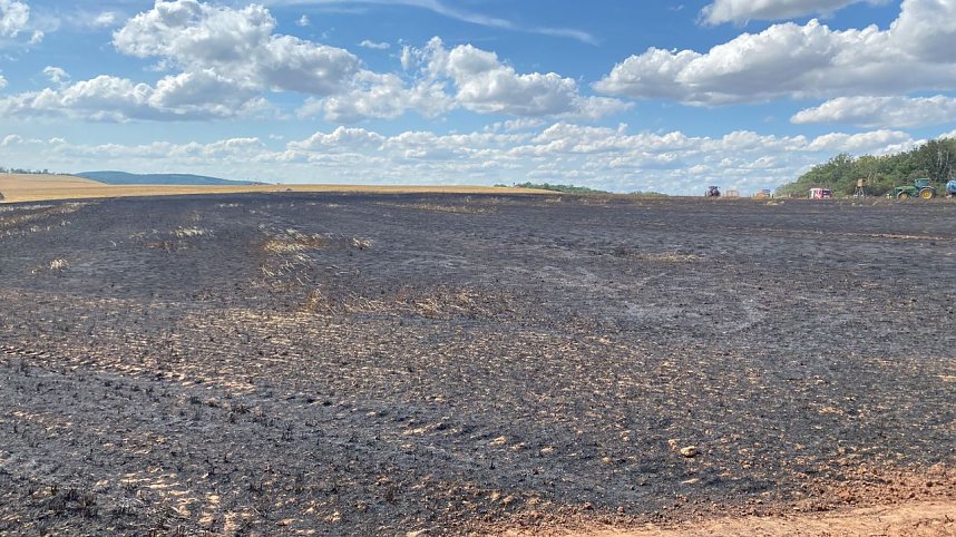 Feuer in der Goldenen Aue