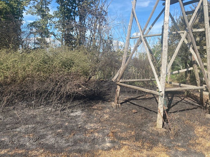 Feuer in der Goldenen Aue