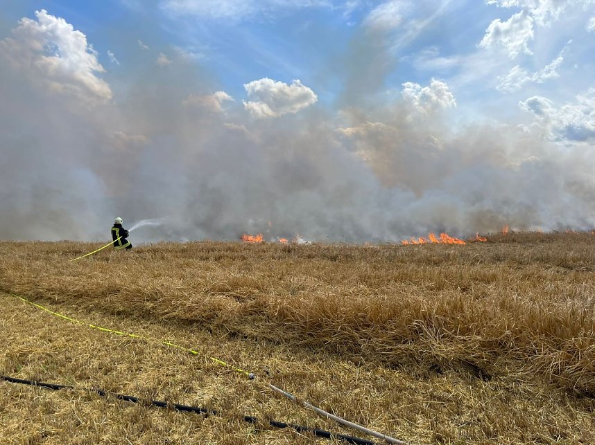 Feuer in der Goldenen Aue