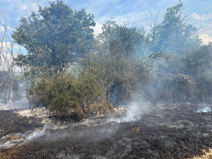 Feuer in der Goldenen Aue