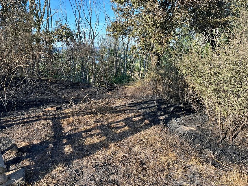 Feuer in der Goldenen Aue