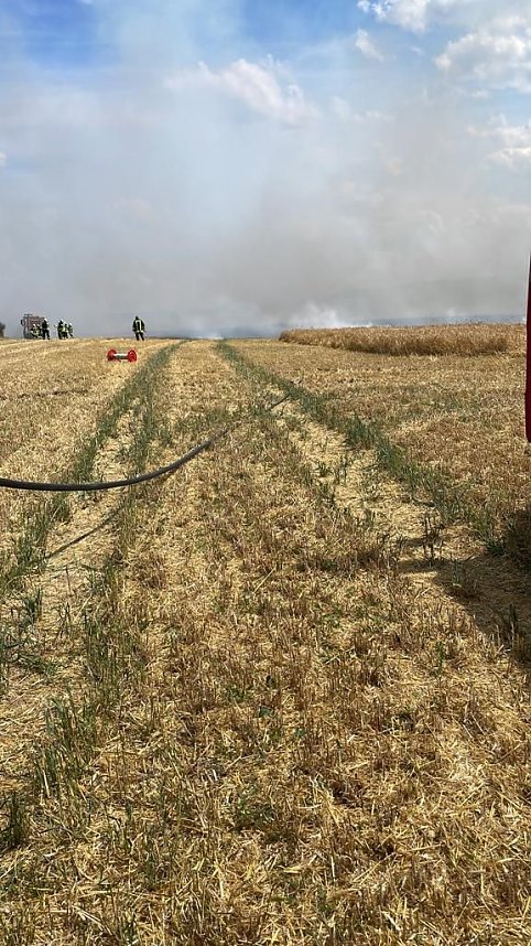 Feuer in der Goldenen Aue