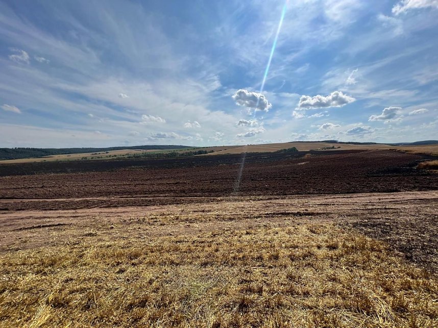 Feuer in der Goldenen Aue