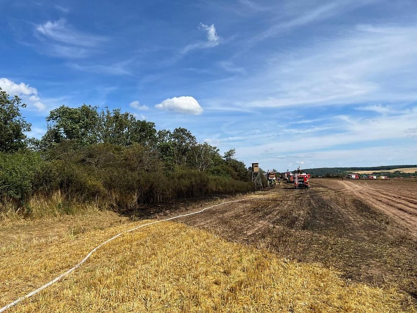Feuer in der Goldenen Aue