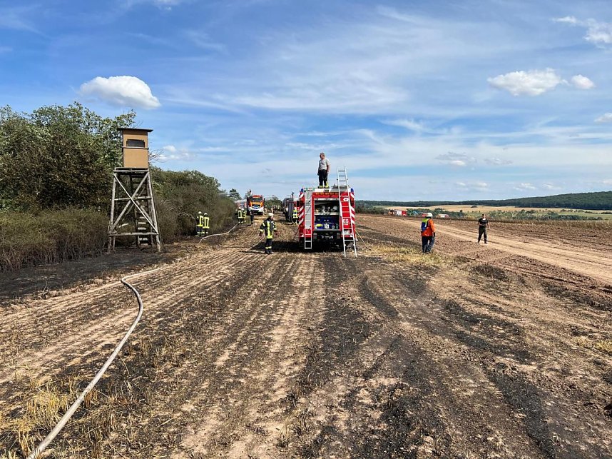 Feuer in der Goldenen Aue