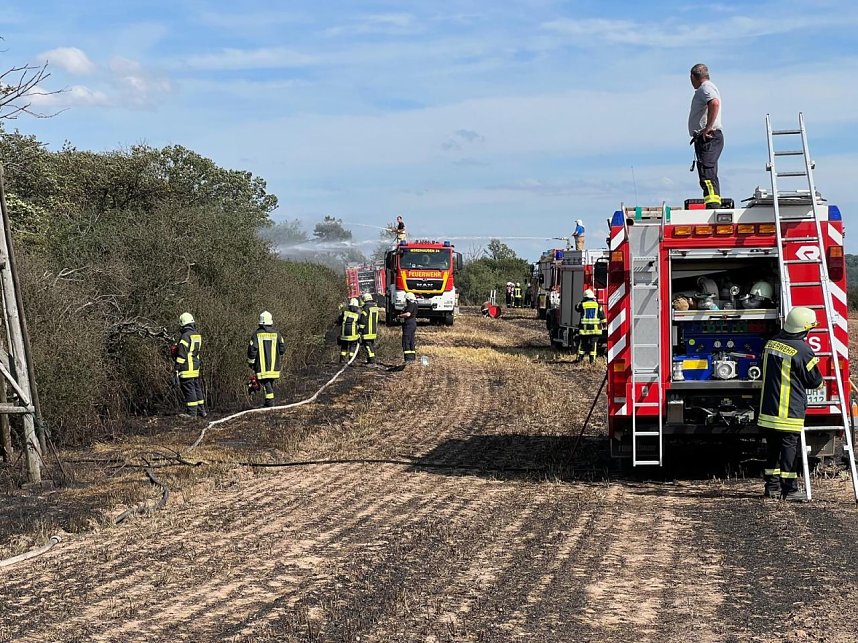 Feuer in der Goldenen Aue
