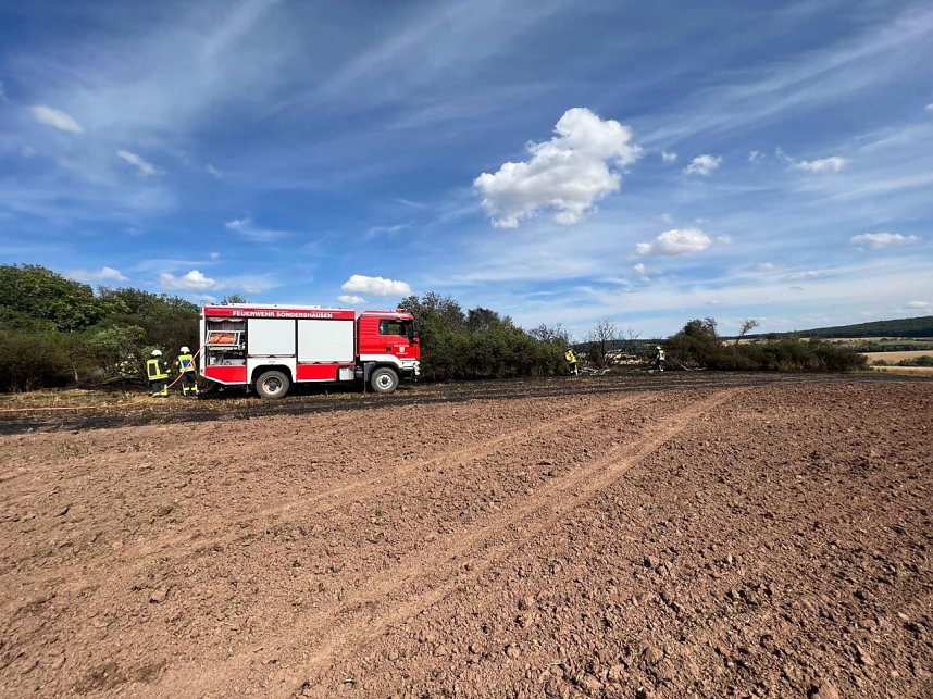 Feuer in der Goldenen Aue