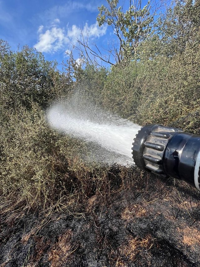 Feuer in der Goldenen Aue