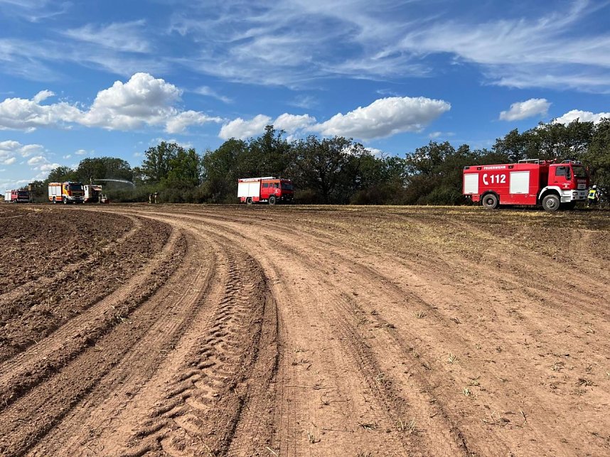 Feuer in der Goldenen Aue