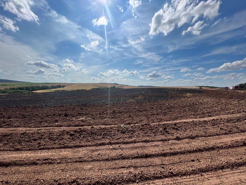 Feuer in der Goldenen Aue