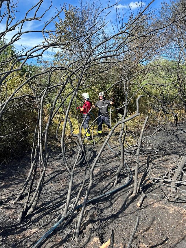Feuer in der Goldenen Aue