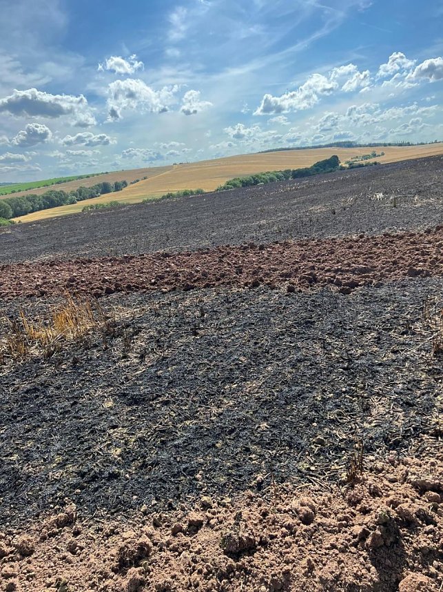 Feuer in der Goldenen Aue