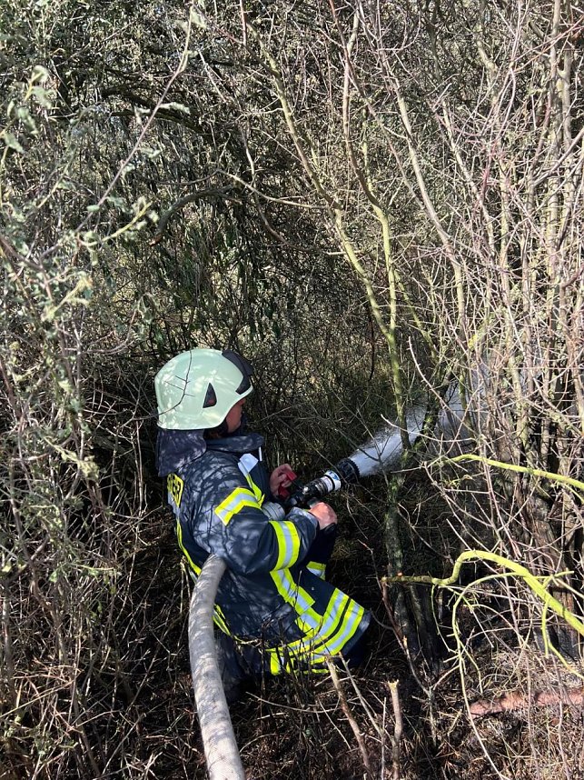 Feuer in der Goldenen Aue