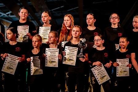 Vereinsinterne Saisonehrungen der Handballer