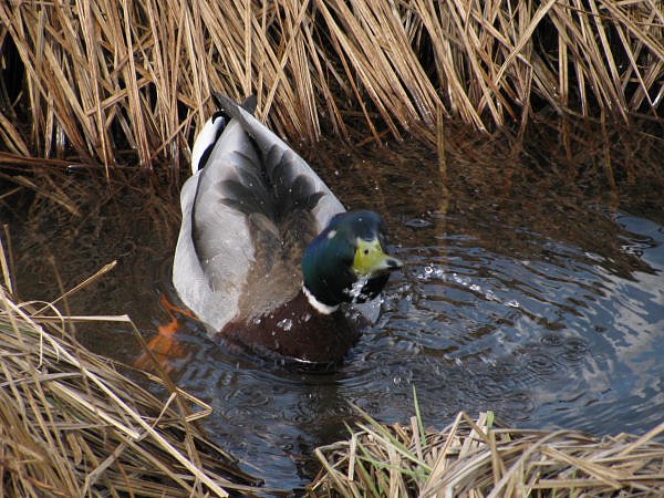 Spaziergang am Karfreitag