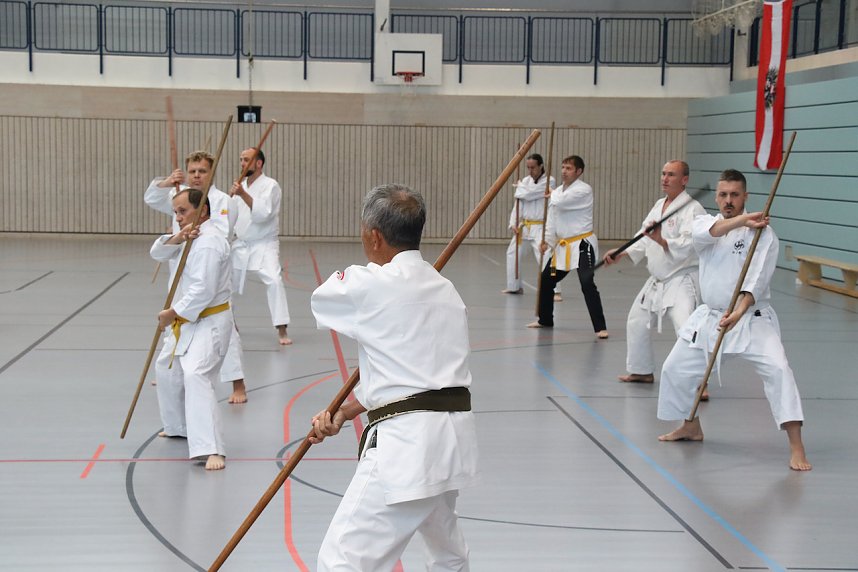 Internationales Karate-Training in der Wiedigsburg-Halle