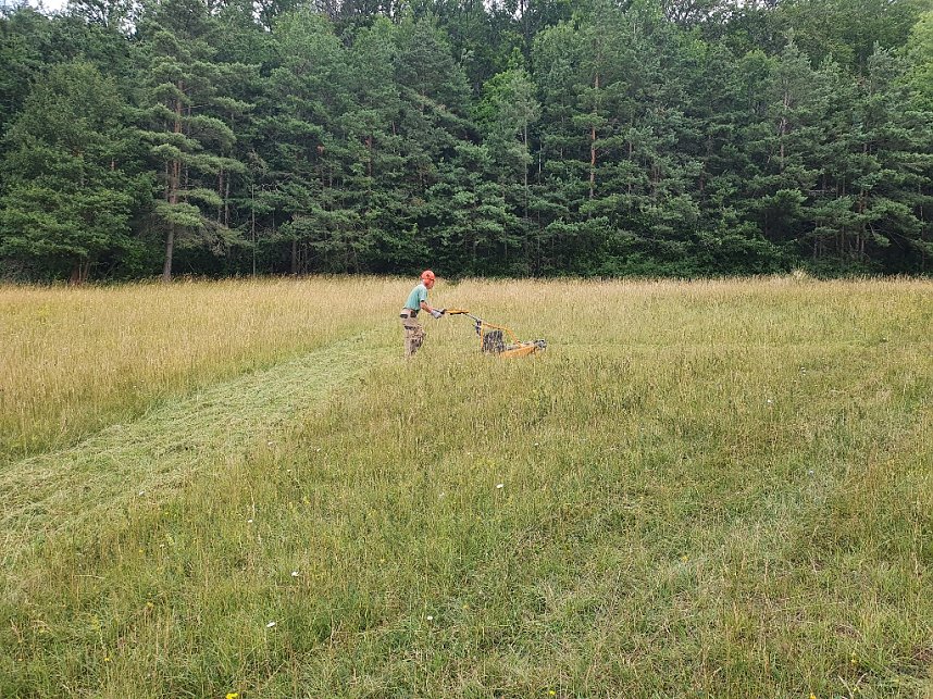 Arbeitseinsatz des BUND